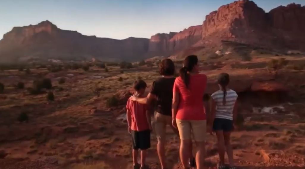 What will the new normal look like?